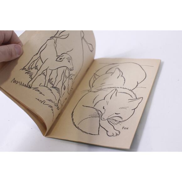 Baby Animals, Coloring Book, Whitman, 1960s, Uncolored, Uncolored, Coloring Book - Picture 4 of 4